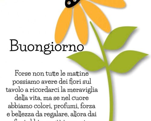 Forse non tutte le mattine possiamo avere dei fiori sul tavolo a ricordarci la meraviglia della vita, ma se nel cuore abbiamo colori, profumi, forza e bellezza da regalare, allora dai fiori abbiamo già imparato abbastanza! Buongiorno