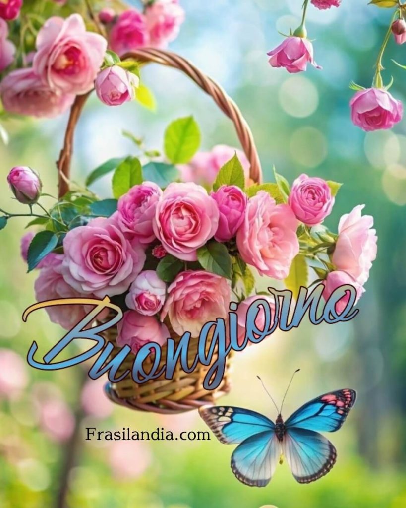 Buongiorno