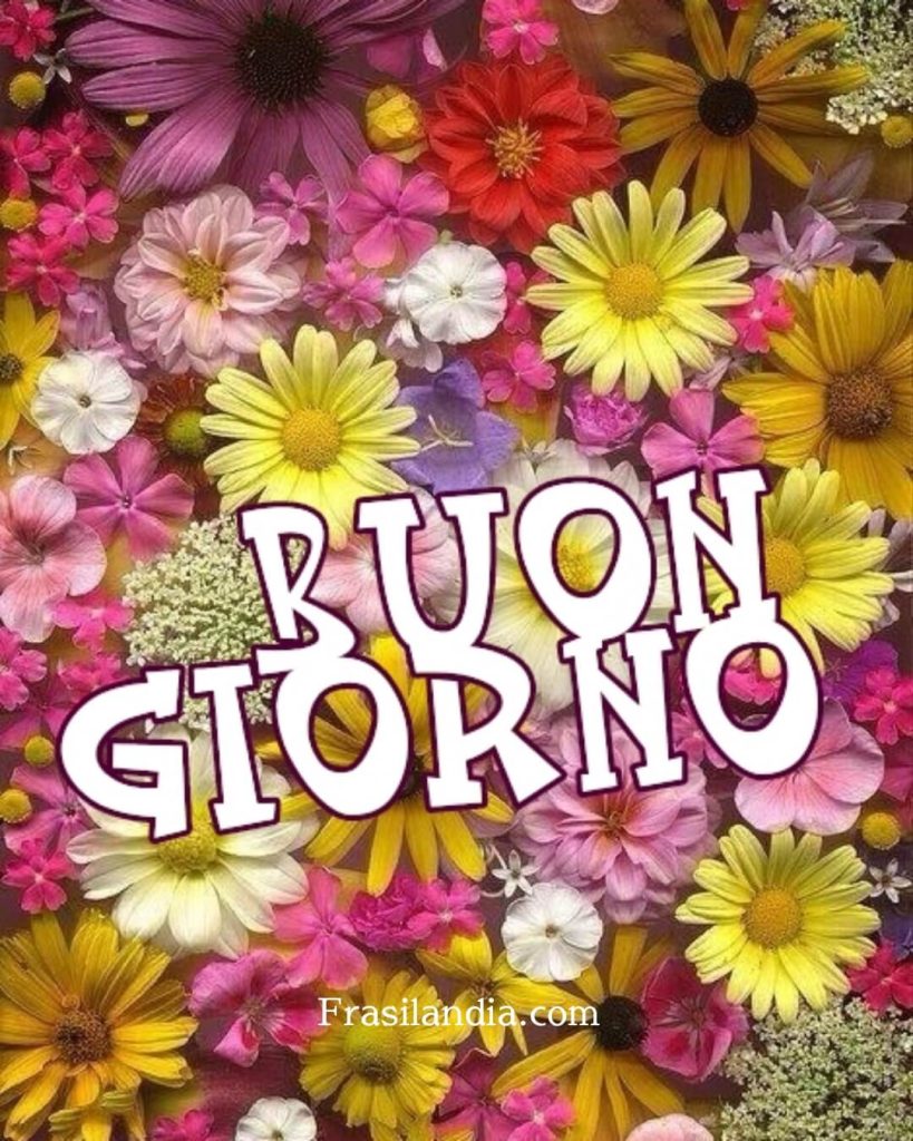 Buongiorno