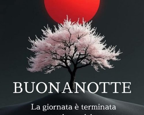 La giornata è terminata, auguro a tutti una dolce nottata. Buonanotte