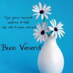 Ogni giorno nasconde qualcosa di bello che vale la pena cercare. Buon venerdì