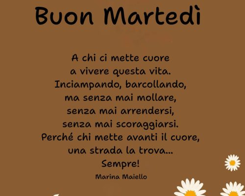 Buon martedì a chi ci mette cuore a vivere questa vita; inciampando, barcollando a volte cadendo ma senza mai mollare, senza mai arrendersi, senza mai scoraggiarsi. Perché chi mette avanti il cuore, una strada la trova... Sempre!