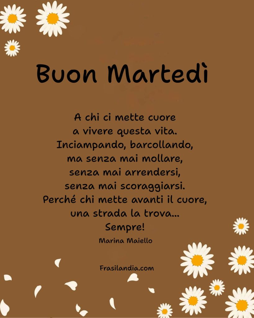 Buon martedì a chi ci mette cuore a vivere questa vita; inciampando, barcollando a volte cadendo ma senza mai mollare, senza mai arrendersi, senza mai scoraggiarsi. Perché chi mette avanti il cuore, una strada la trova... Sempre!