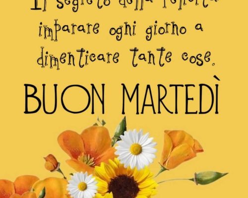 Il segreto della felicità: Imparare ogni giorno a dimenticare tante cose. Buon martedì